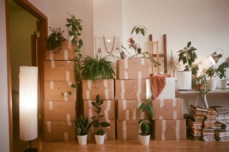 Cambiarse de casa suena emocionante… hasta que empiezan las cajas, el desorden y las decisiones que nadie te explicó antes.